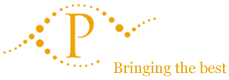 Pansoft Technologies